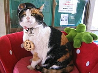 日記の画像