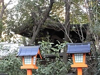 日記の画像