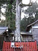 日記の画像