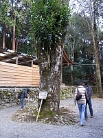 日記の画像