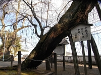 日記の画像