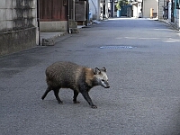 日記の画像