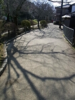 日記の画像