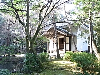 日記の画像