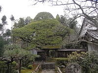 日記の画像