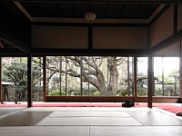 日記の画像