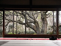 日記の画像