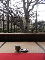 日記の画像
