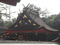 日記の画像