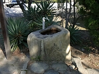 日記の画像