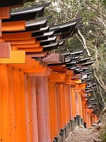 日記の画像