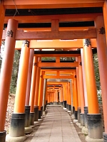 日記の画像