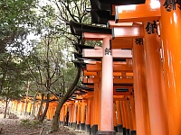 日記の画像