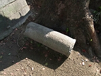 日記の画像