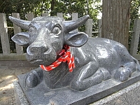 日記の画像