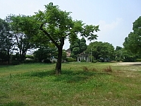 日記の画像