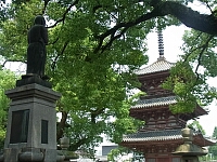 日記の画像