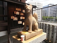 日記の画像