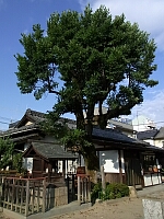日記の画像