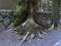 日記の画像