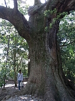 日記の画像