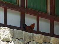 日記の画像