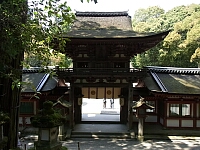 日記の画像