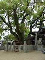 日記の画像
