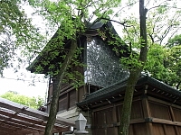 日記の画像