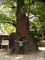 日記の画像