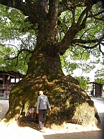 日記の画像