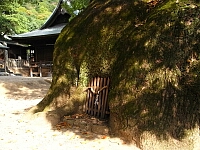 日記の画像