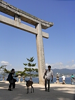 日記の画像