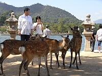日記の画像
