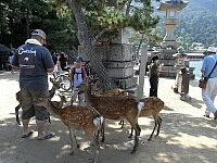日記の画像