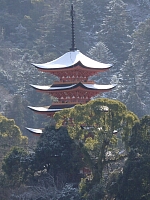 日記の画像