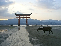 日記の画像