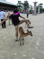 日記の画像