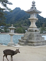 日記の画像