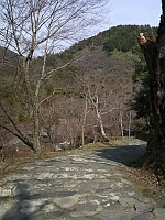 日記の画像