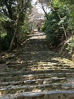 日記の画像