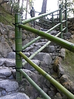 日記の画像