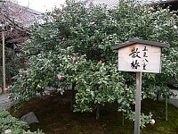 日記の画像