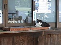 日記の画像