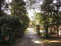 日記の画像