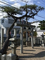 日記の画像
