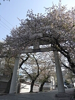日記の画像