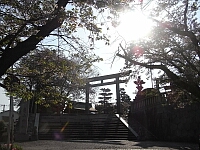 日記の画像