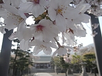 日記の画像