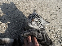 日記の画像